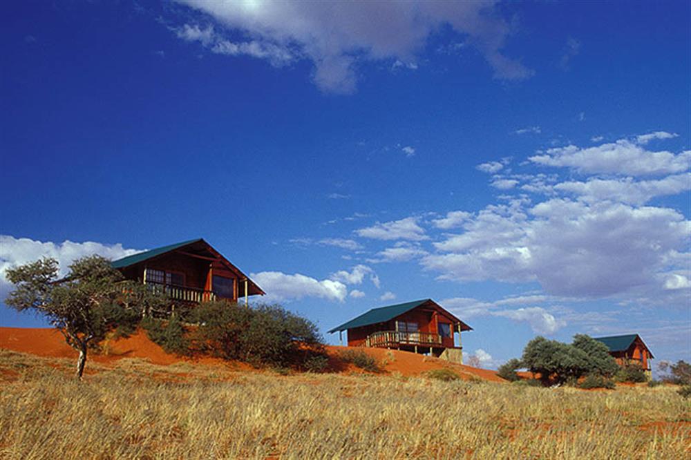 Bagatelle Kalahari Game Ranch